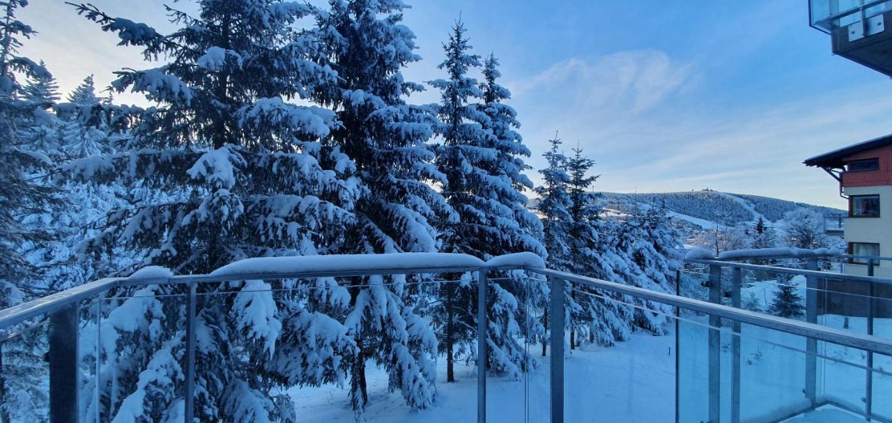 Apartman Nerudovka D 104, Finska Sauna, Garazove Stani Loučná pod Klínovcem Kültér fotó