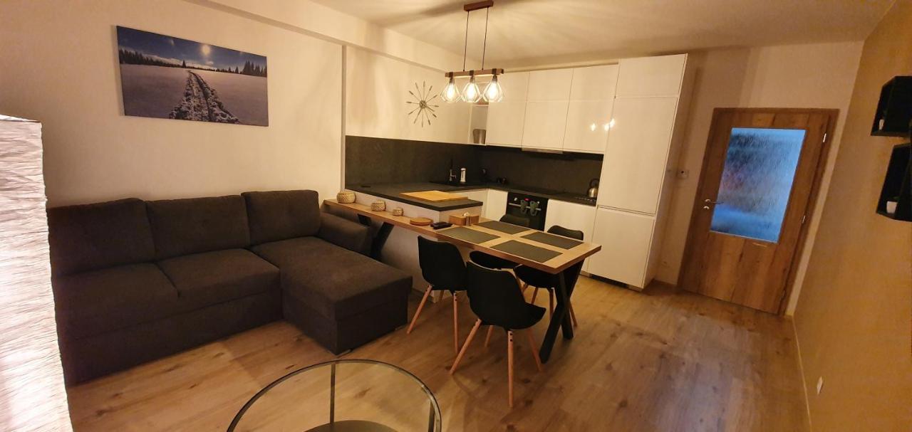 Apartman Nerudovka D 104, Finska Sauna, Garazove Stani Loučná pod Klínovcem Kültér fotó