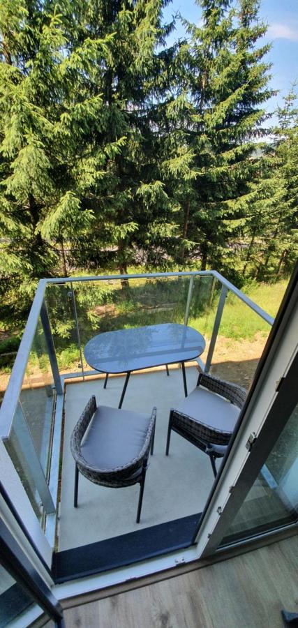 Apartman Nerudovka D 104, Finska Sauna, Garazove Stani Loučná pod Klínovcem Kültér fotó